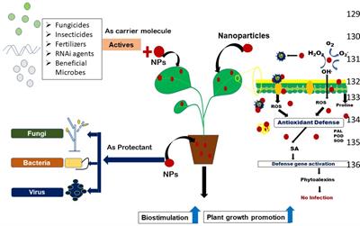 Nanotechnological approaches for management of soil-borne plant pathogens
